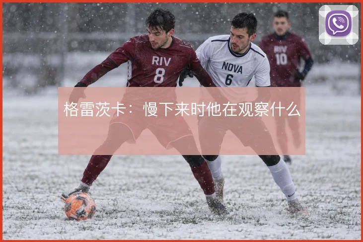 格雷茨卡:慢下来时他在观察什么