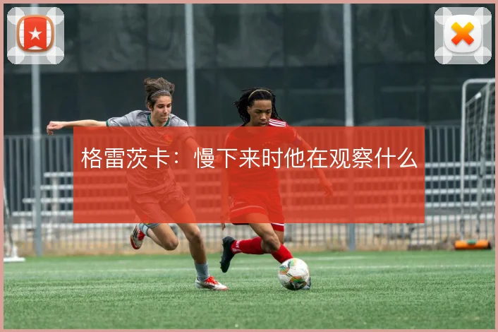 格雷茨卡：慢下来时他在观察什么