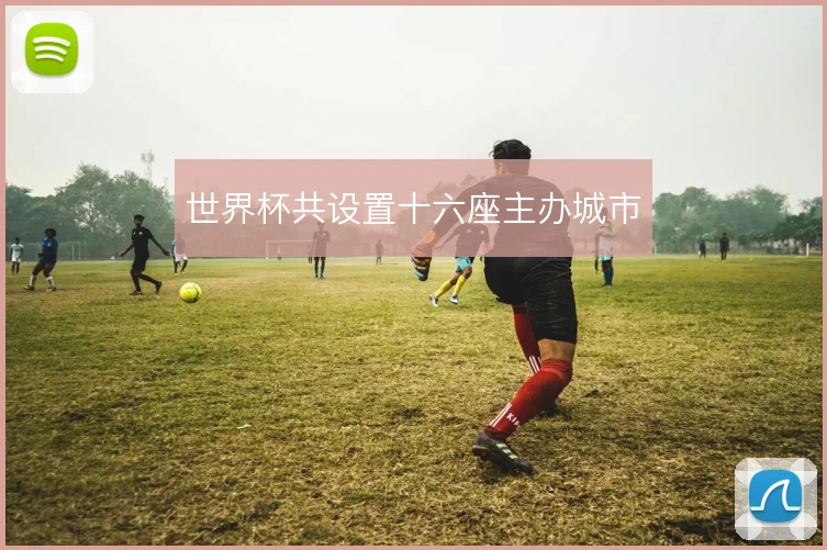 世界杯共设置十六座主办城市